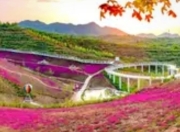 淄博市拓展沉浸式体验：科技赋能文化，打造文旅融合新标杆