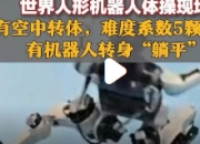 松延动力机器人：自由体操赛场上的新星