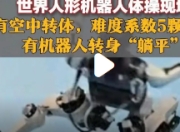 松延动力机器人：自由体操赛场上的新星